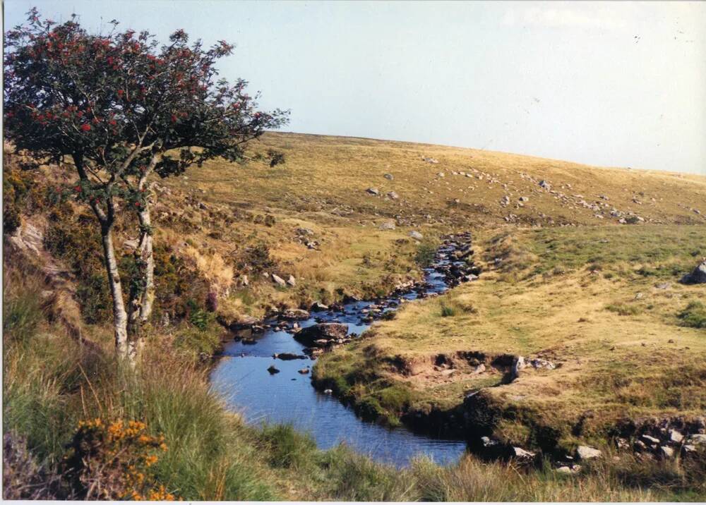 An image from the Dartmoor Trust Archive