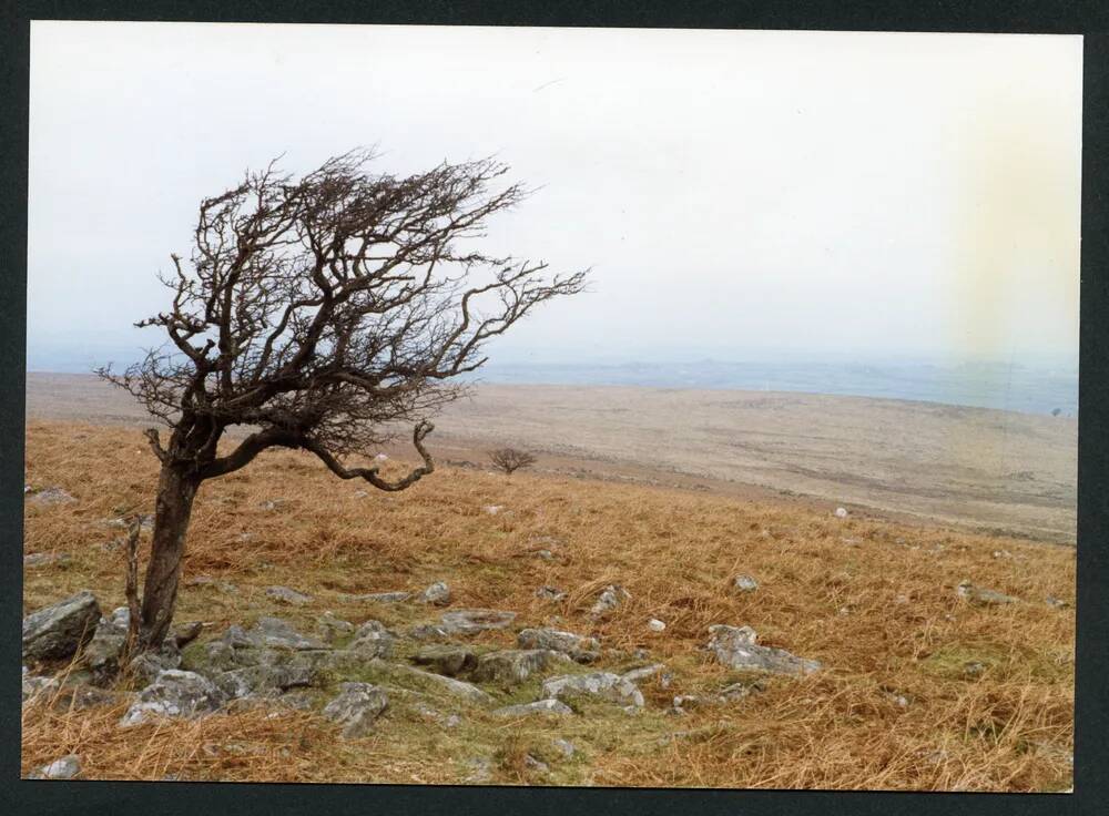 An image from the Dartmoor Trust Archive