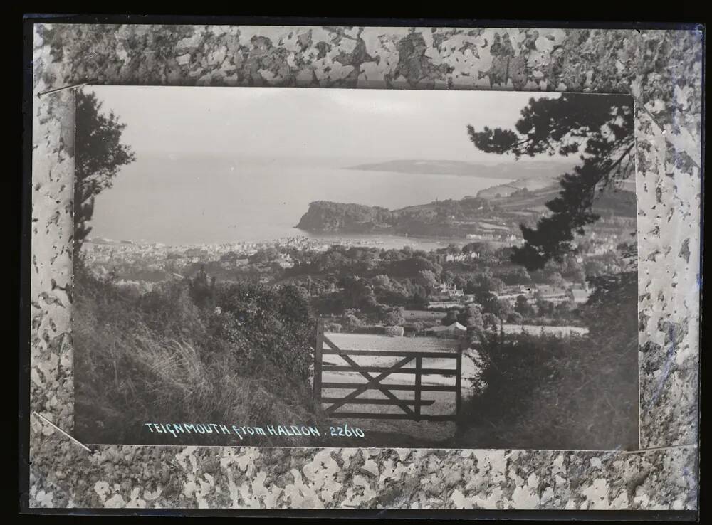 View from Little Haldon, Teignmouth