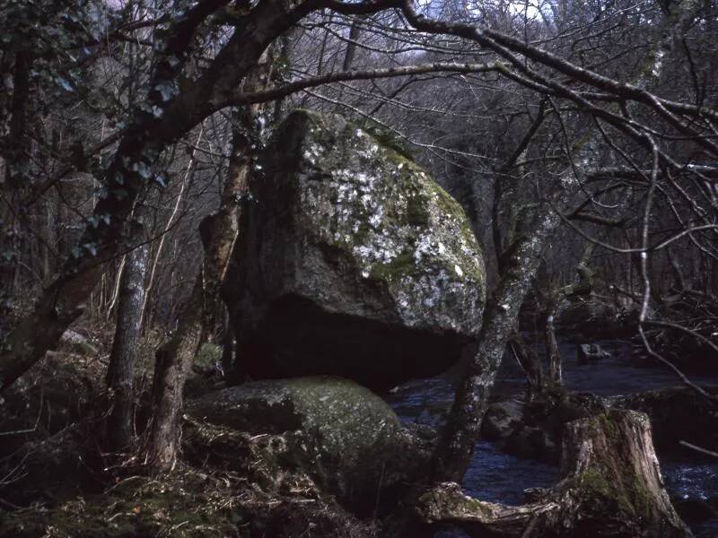 An image from the Dartmoor Trust Archive