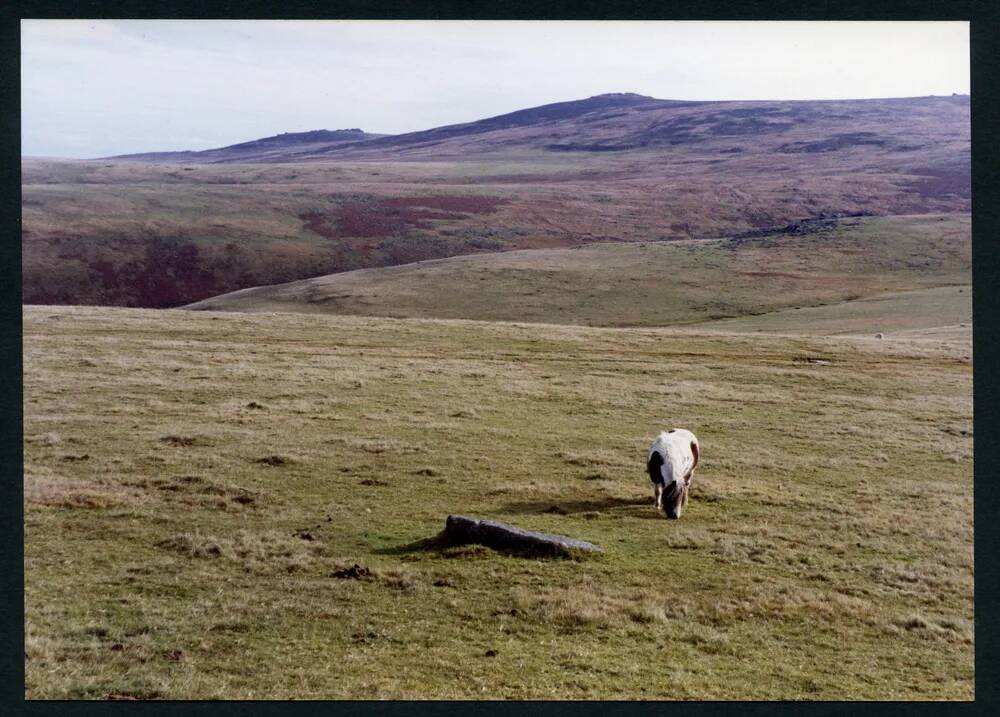 An image from the Dartmoor Trust Archive