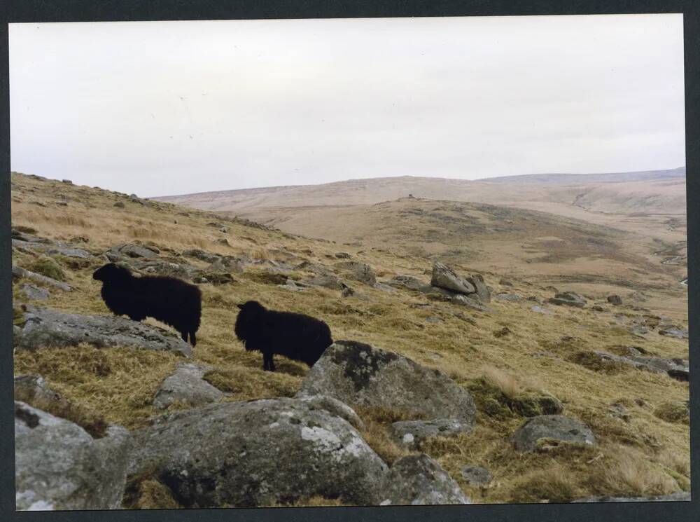 An image from the Dartmoor Trust Archive