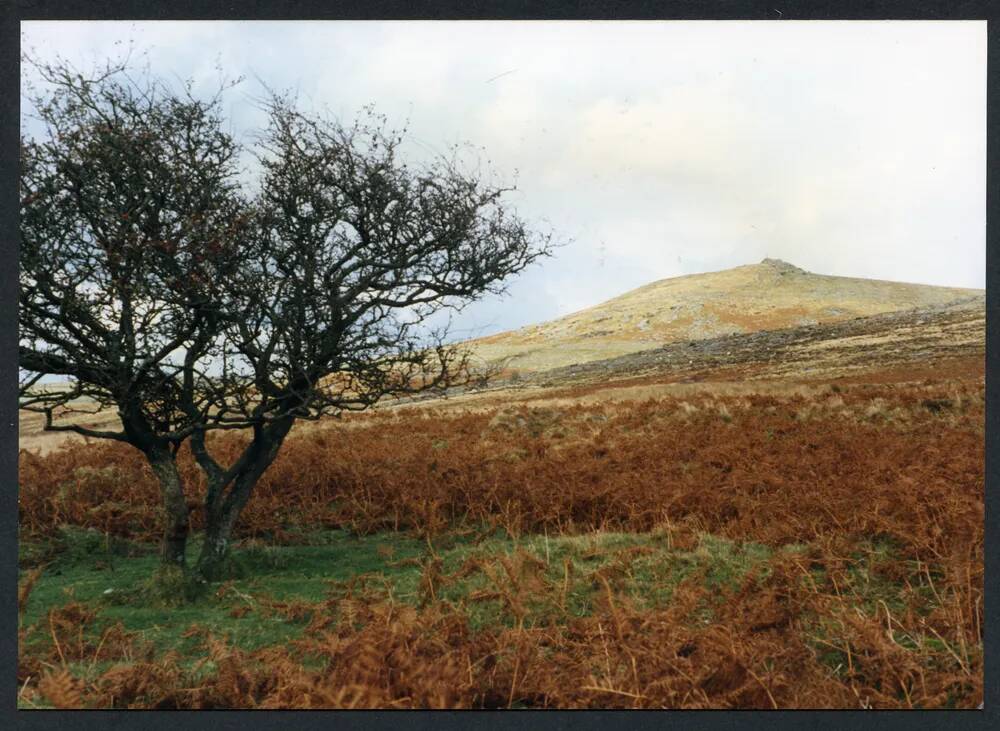 An image from the Dartmoor Trust Archive