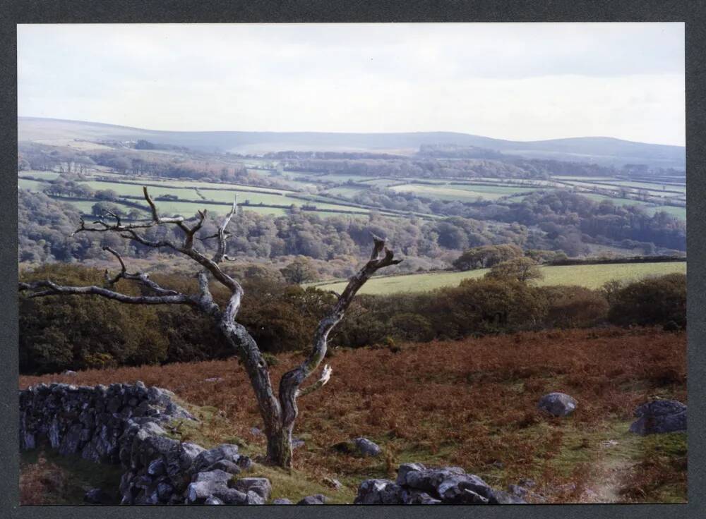 An image from the Dartmoor Trust Archive