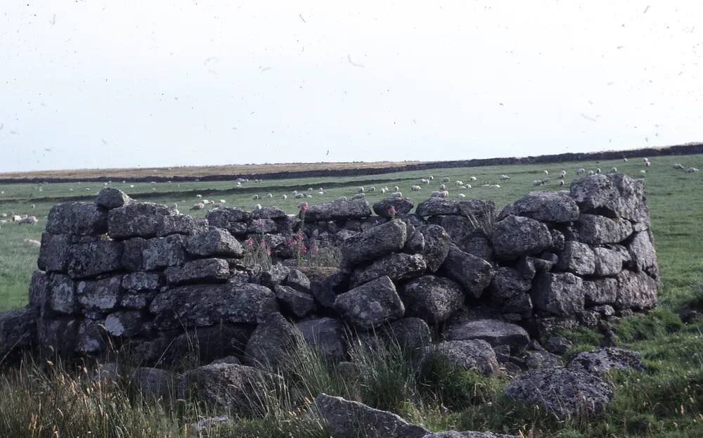 An image from the Dartmoor Trust Archive