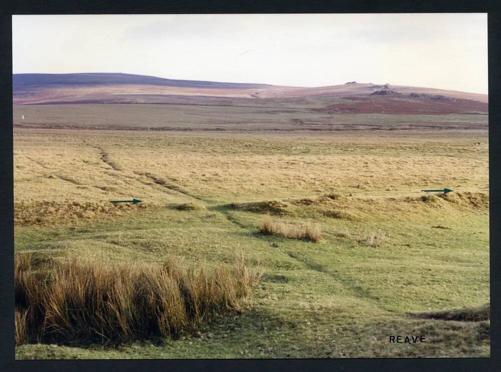 An image from the Dartmoor Trust Archive