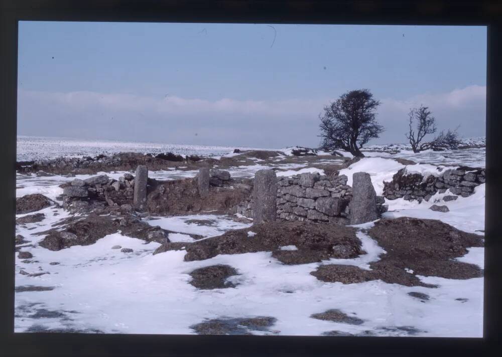 Snow at Stats Brook Farm