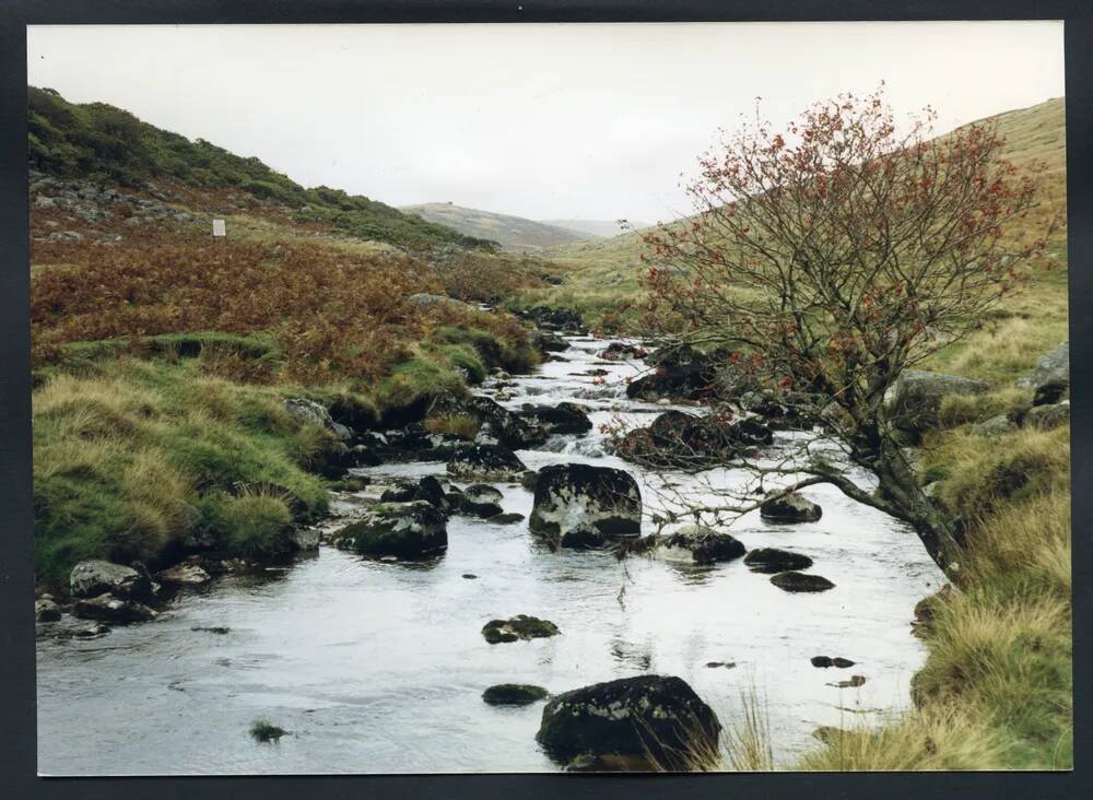 An image from the Dartmoor Trust Archive