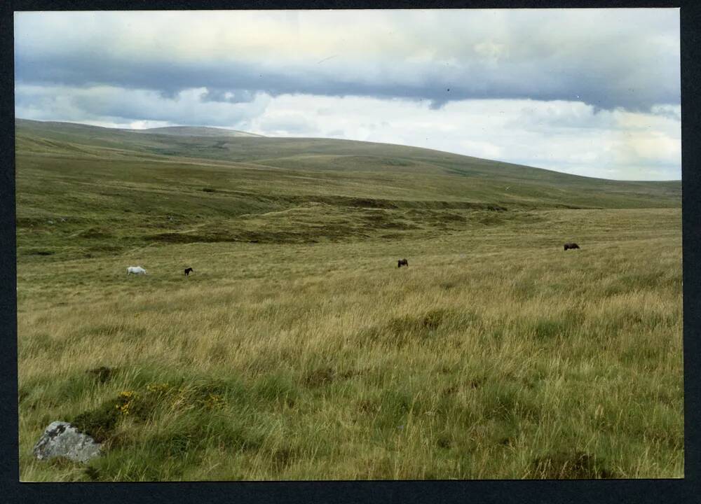 An image from the Dartmoor Trust Archive