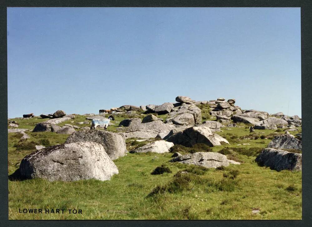 An image from the Dartmoor Trust Archive