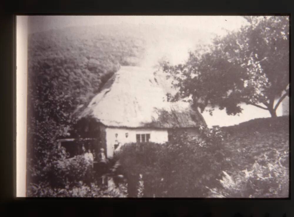 Fingle Mill