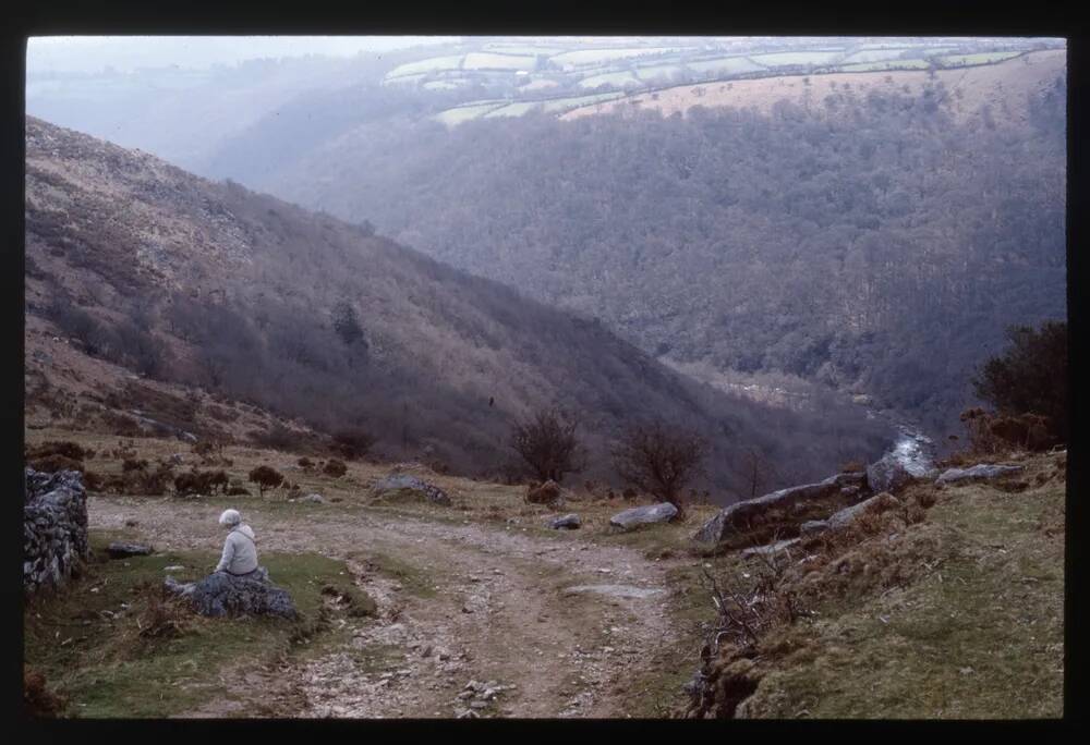 Dr. Blackalls Drive- below Mel Tor