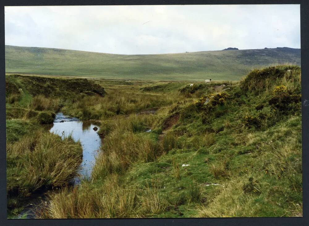 An image from the Dartmoor Trust Archive