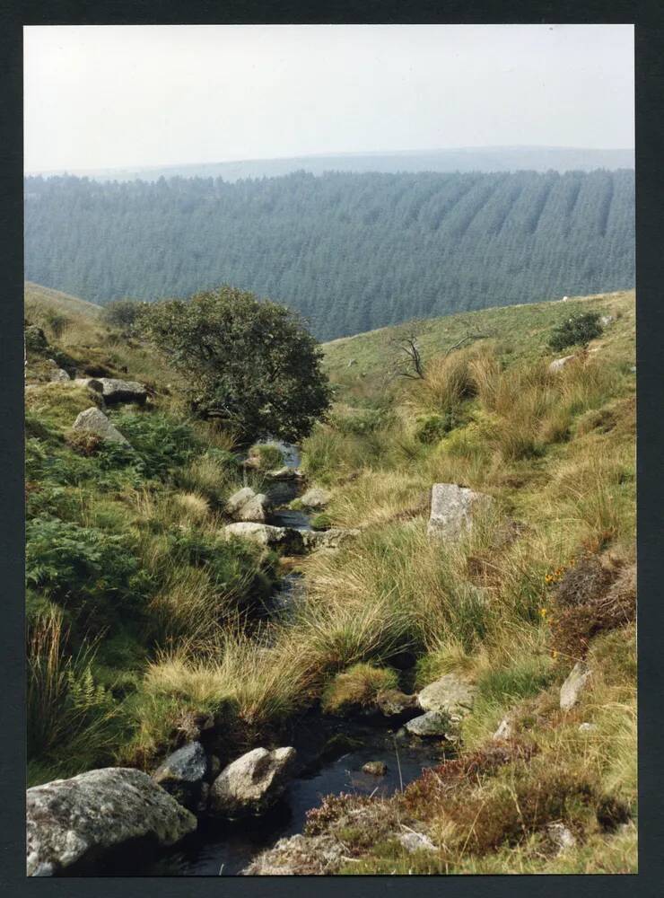 An image from the Dartmoor Trust Archive