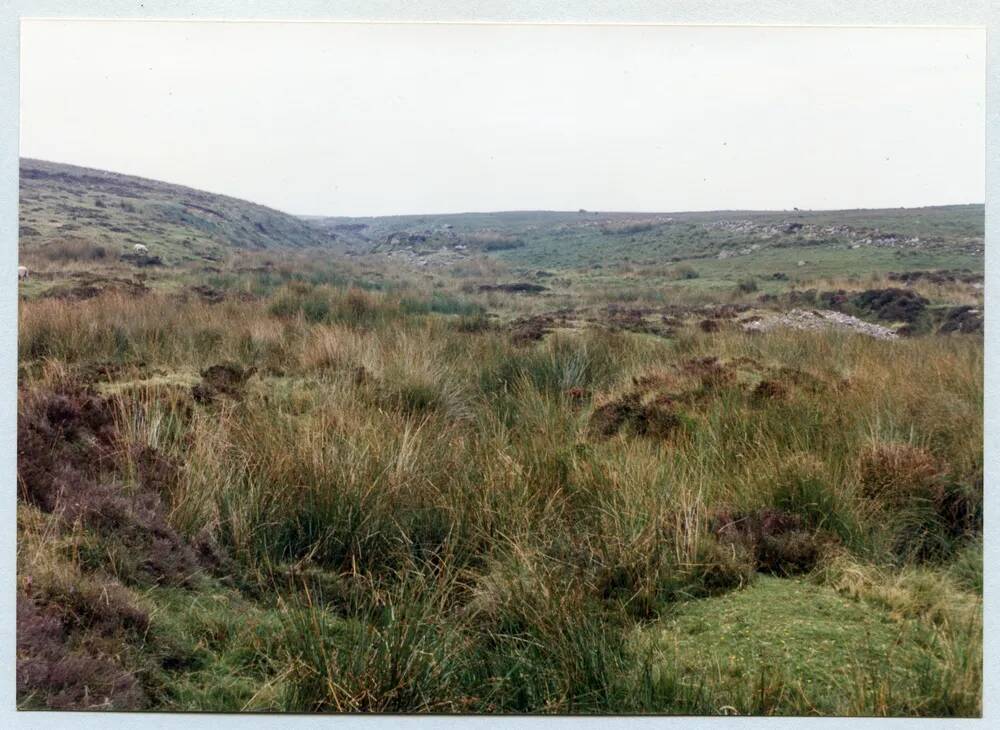 An image from the Dartmoor Trust Archive