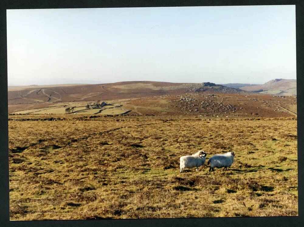 An image from the Dartmoor Trust Archive