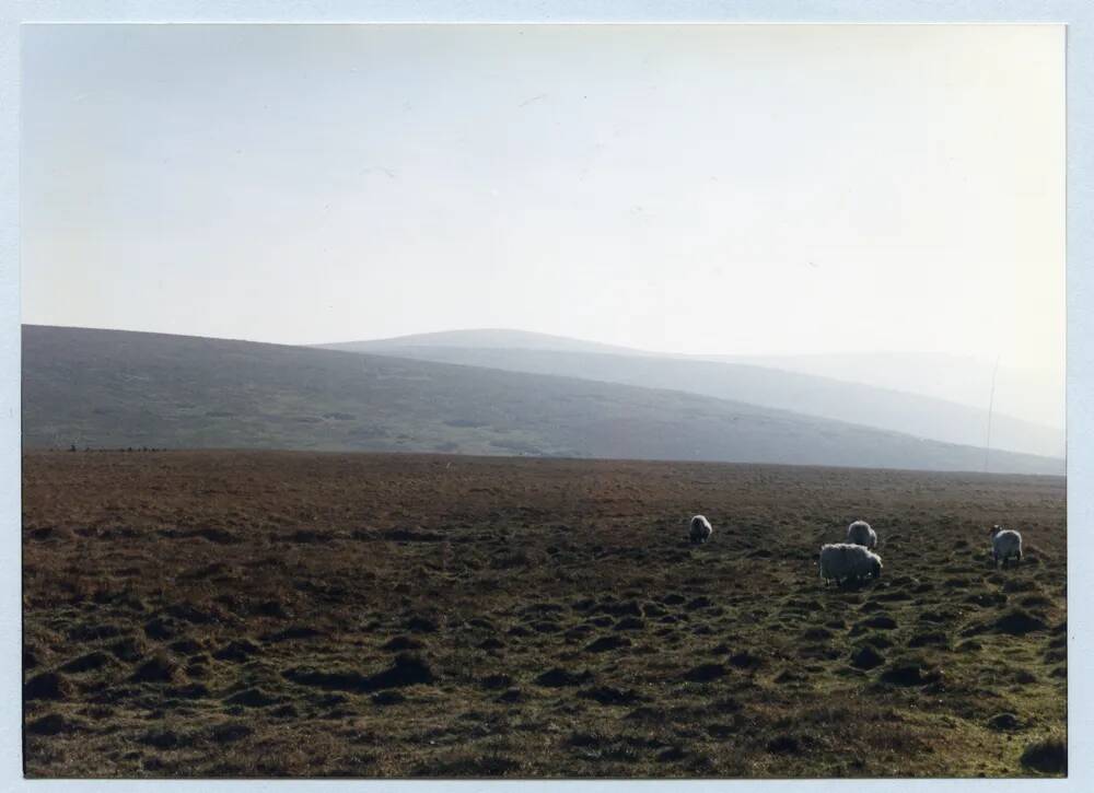 An image from the Dartmoor Trust Archive