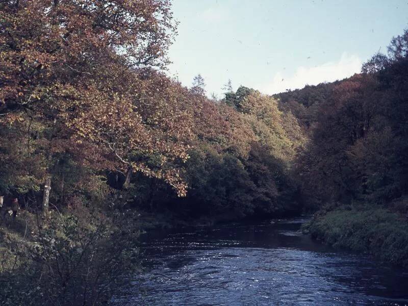 An image from the Dartmoor Trust Archive