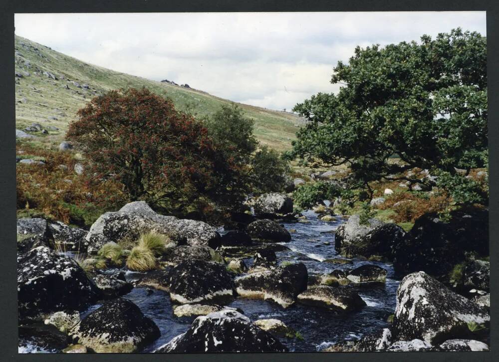 An image from the Dartmoor Trust Archive