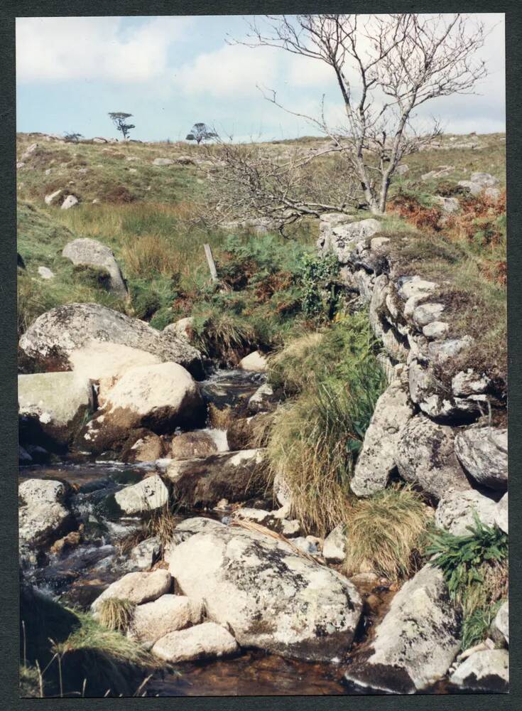 An image from the Dartmoor Trust Archive