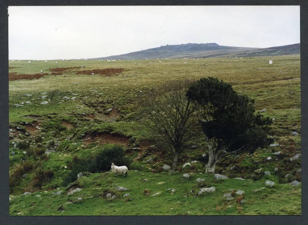 An image from the Dartmoor Trust Archive