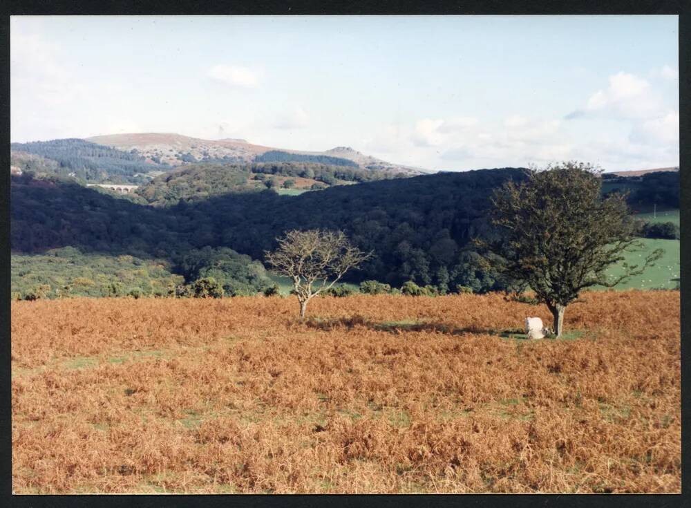 An image from the Dartmoor Trust Archive