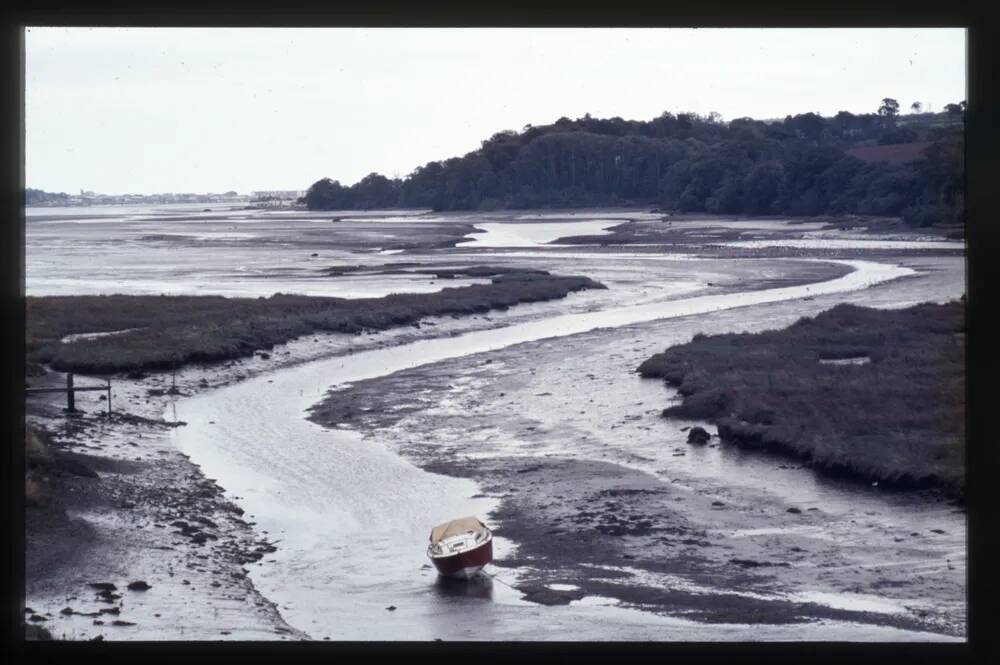 Hackney Marsh and Teign Estuary