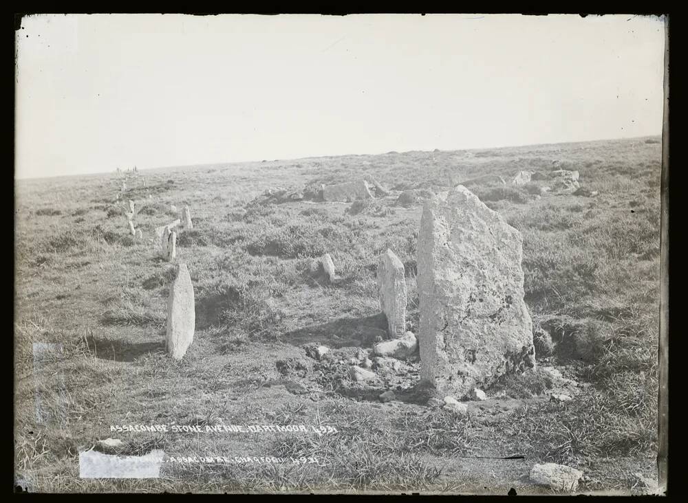 Assycombe Stone Avenue, Lydford