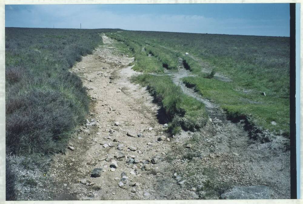 An image from the Dartmoor Trust Archive