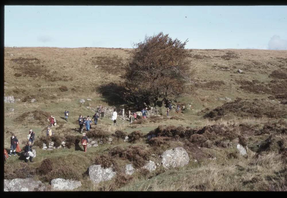 Devonport Leat 