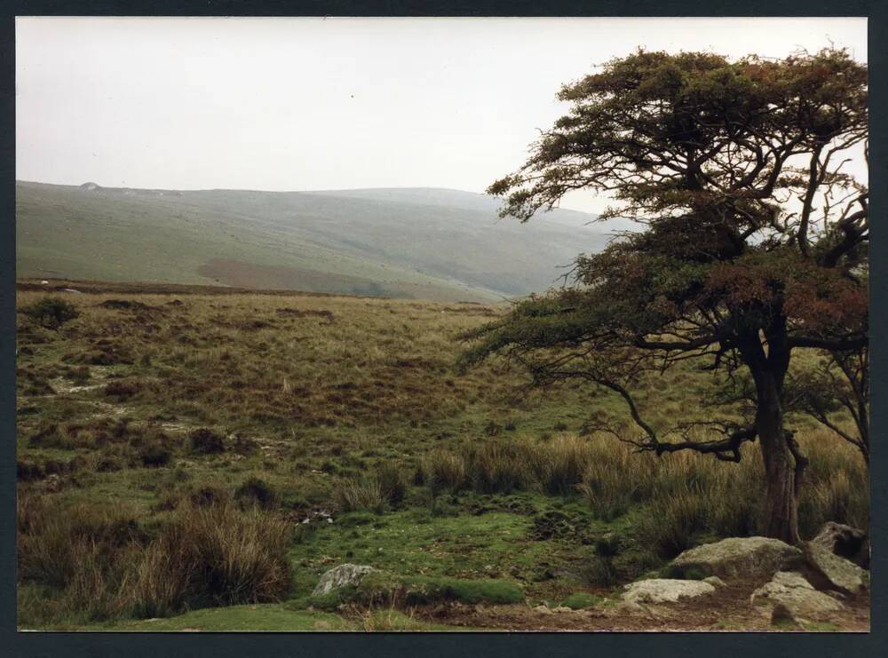 An image from the Dartmoor Trust Archive