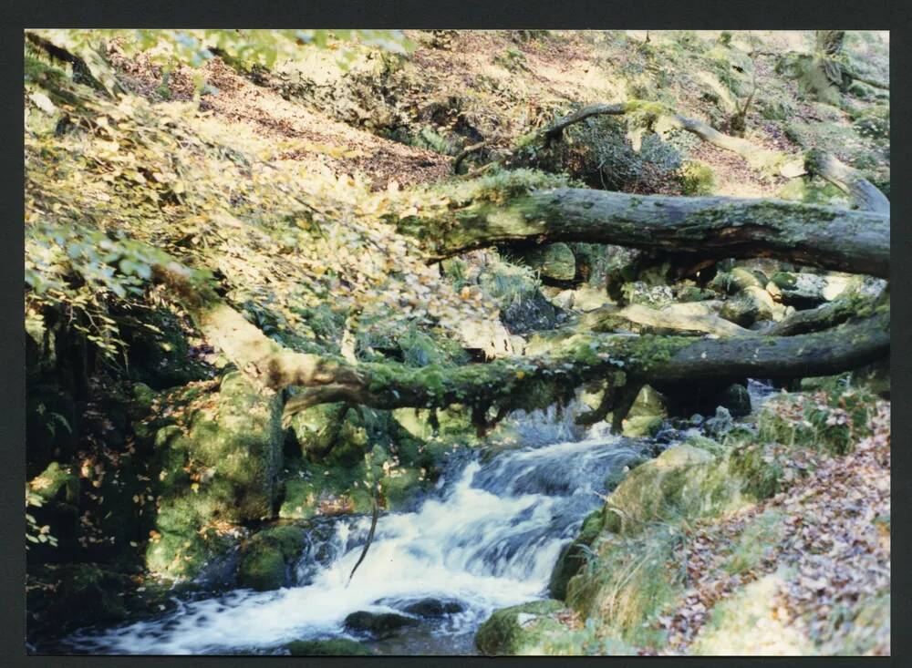 An image from the Dartmoor Trust Archive