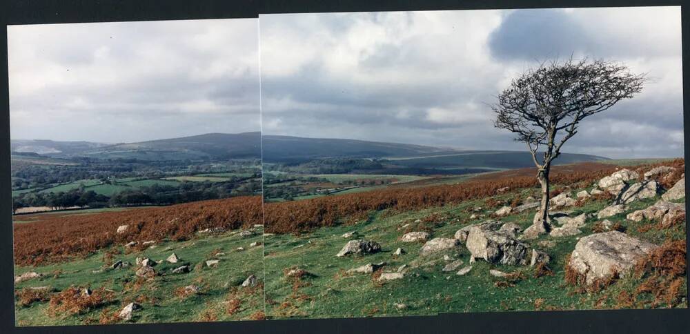 An image from the Dartmoor Trust Archive