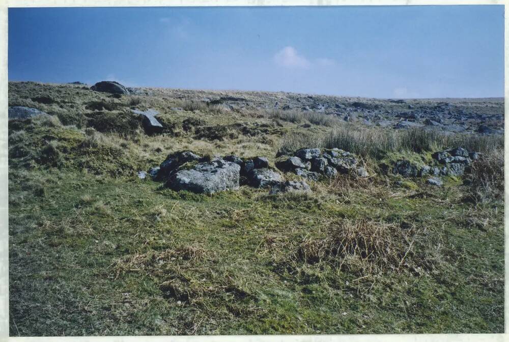 An image from the Dartmoor Trust Archive