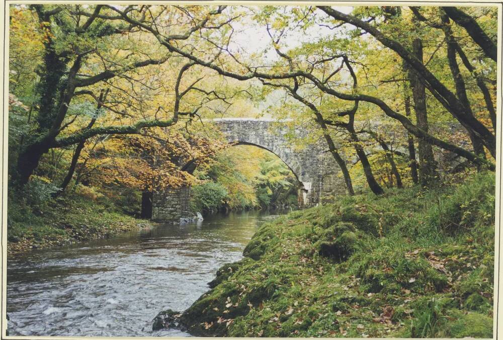 An image from the Dartmoor Trust Archive