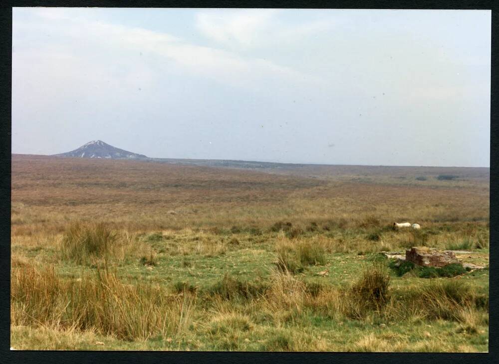 An image from the Dartmoor Trust Archive