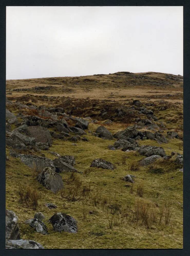 An image from the Dartmoor Trust Archive