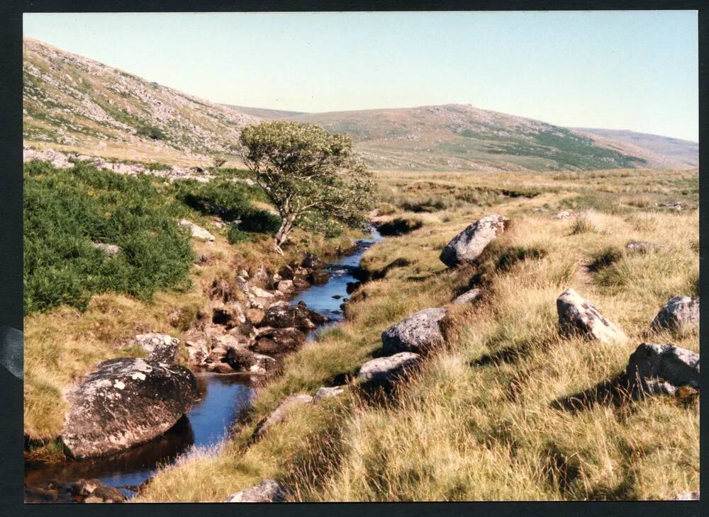 An image from the Dartmoor Trust Archive