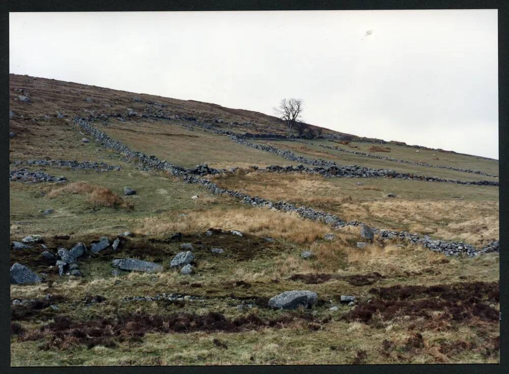 26/21 Huntingdon Warren enclosures 25/4/1991