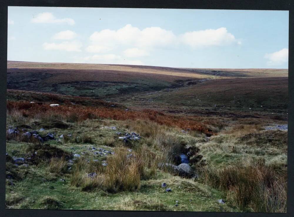 An image from the Dartmoor Trust Archive