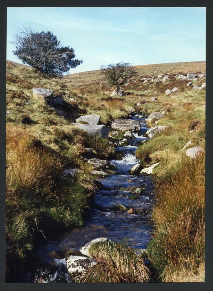 An image from the Dartmoor Trust Archive