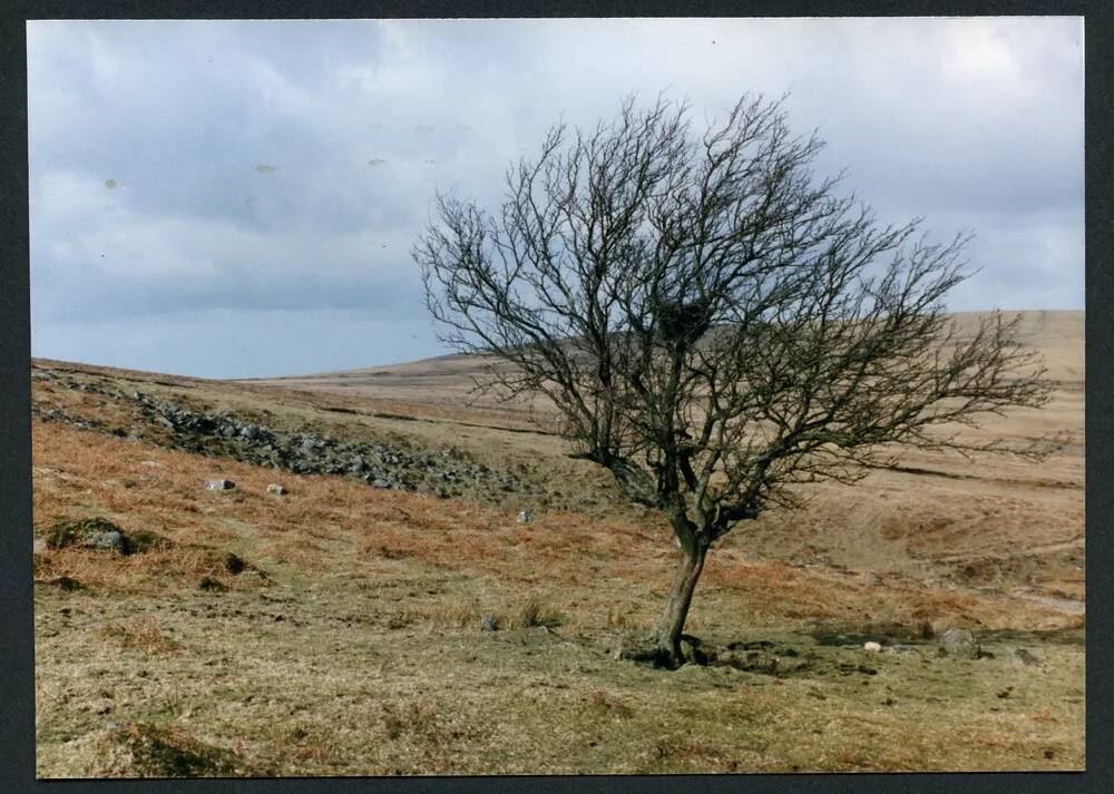 An image from the Dartmoor Trust Archive