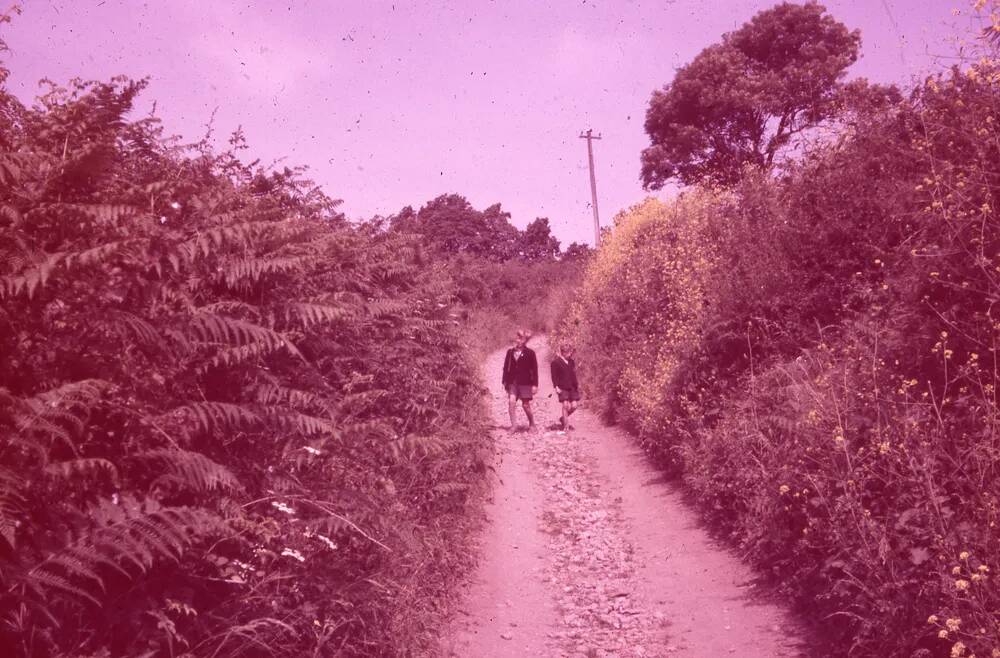 An image from the Dartmoor Trust Archive