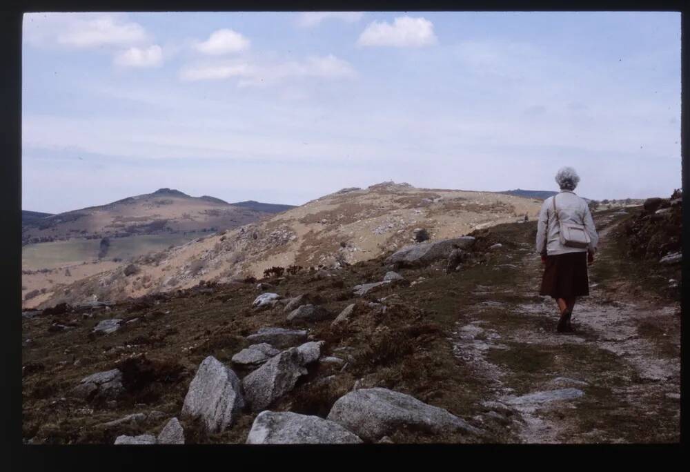 Dr. Blackalls Drive- view of Mel  and Sharp Tors