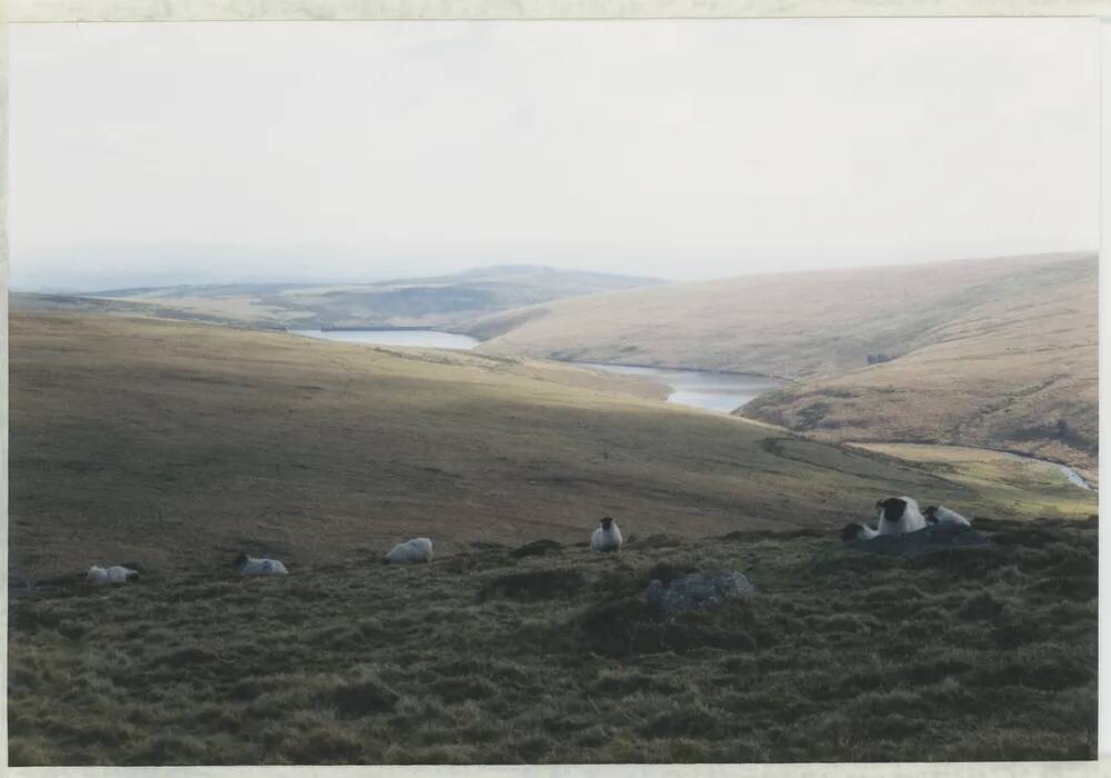 An image from the Dartmoor Trust Archive