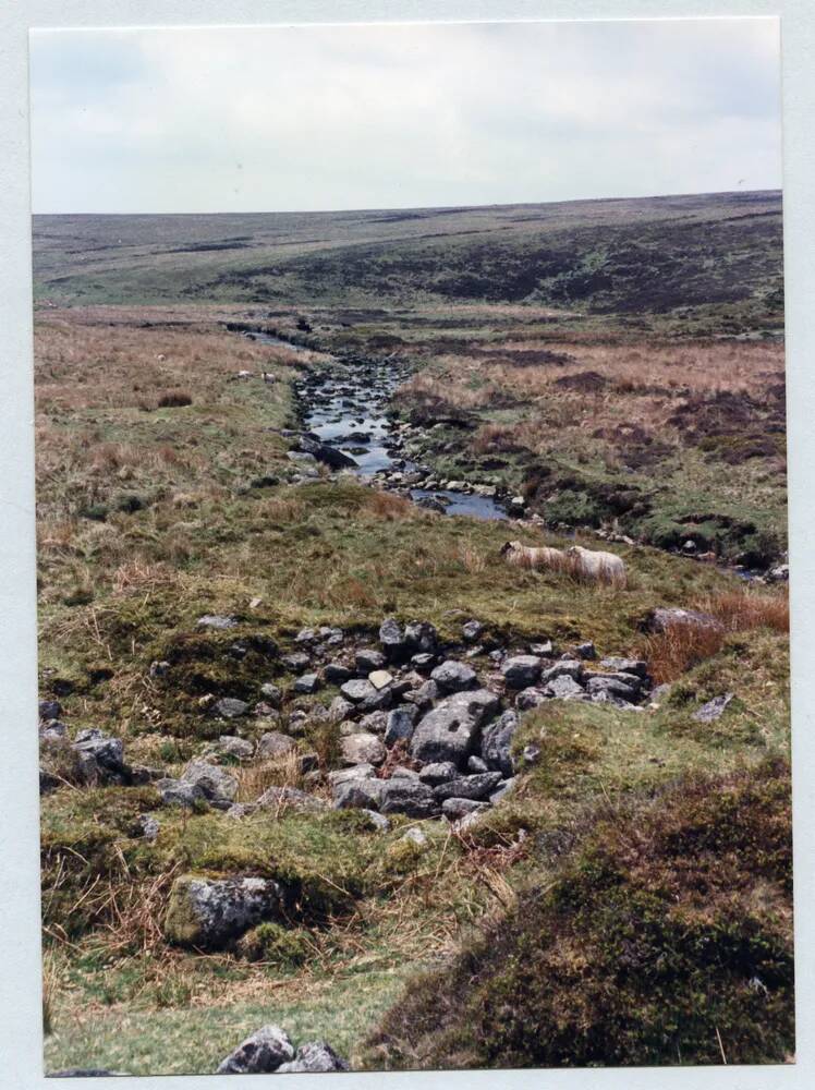 An image from the Dartmoor Trust Archive