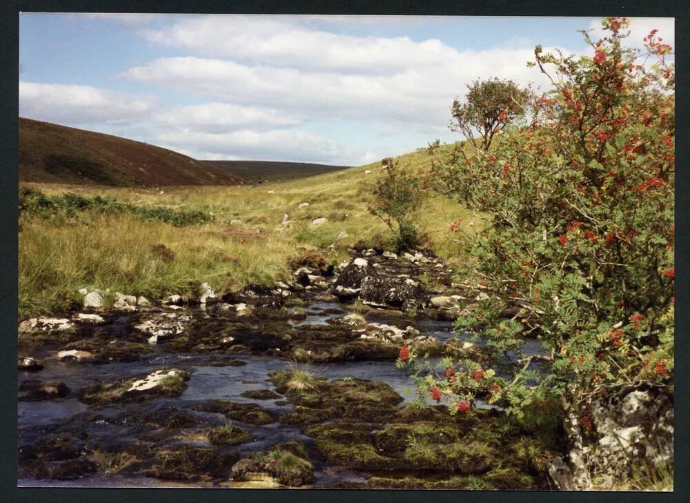 An image from the Dartmoor Trust Archive