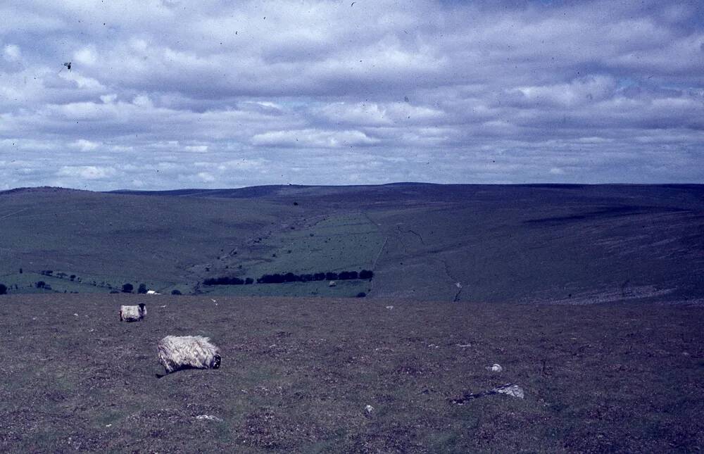 An image from the Dartmoor Trust Archive