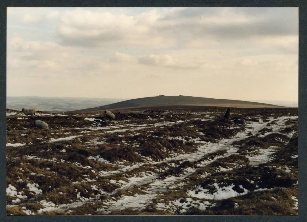 An image from the Dartmoor Trust Archive