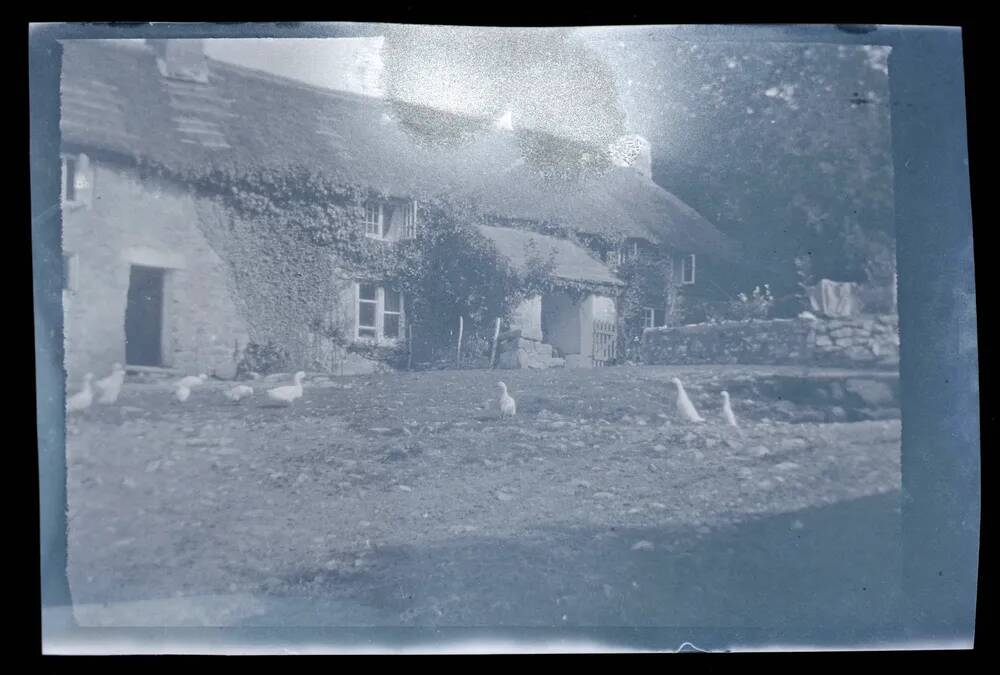 An image from the Dartmoor Trust Archive